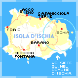Cartina dell'isola d'Ischia